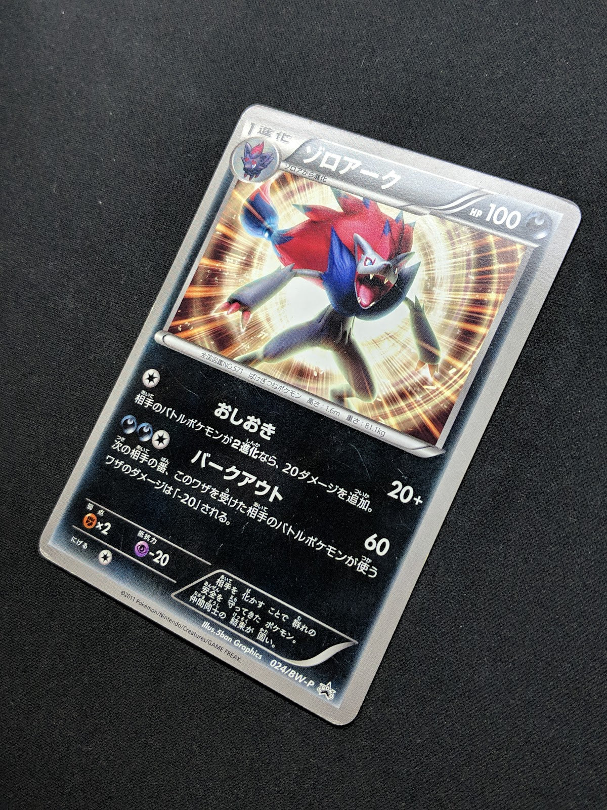 Zoroark 024/BW-P Promo Pokemon Japanese 2011 World Hobby Fair Exclusive MP