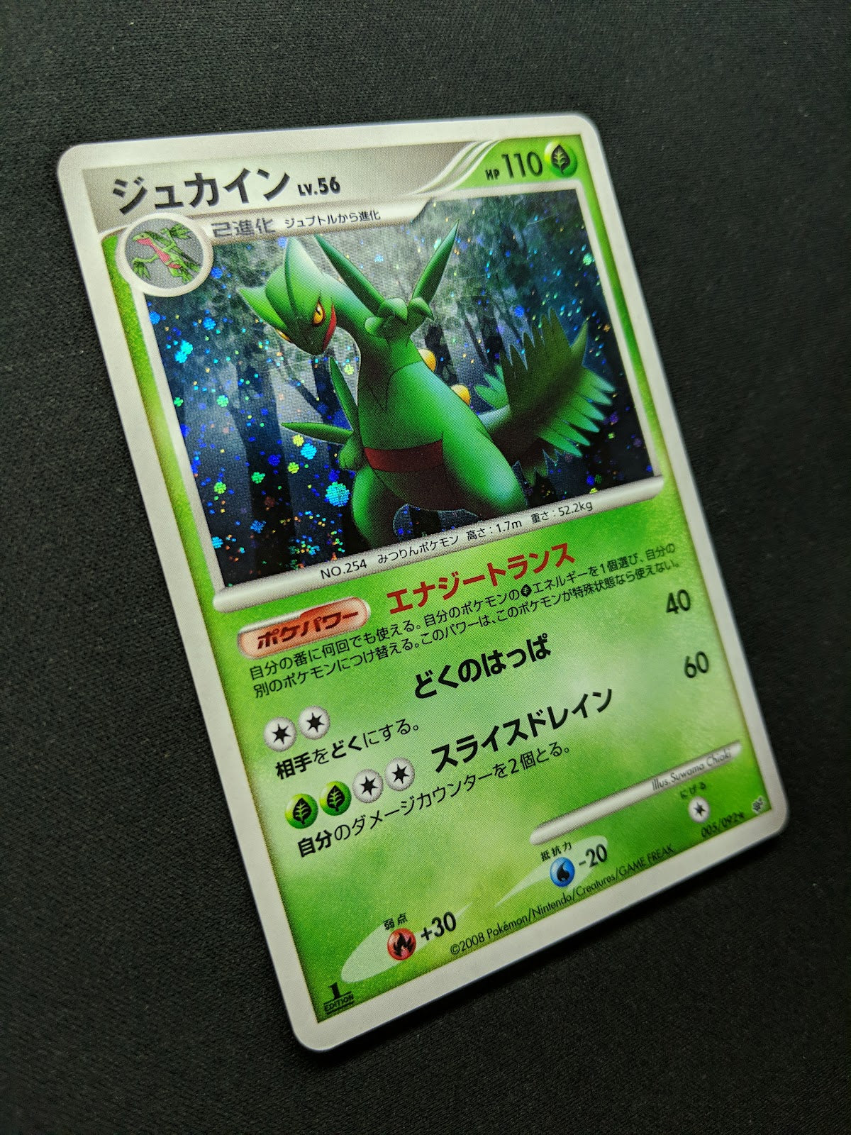 Sceptile Stormfront 005/092 Pokemon 1st Edition Japanese Rare Holo 2008 DP LP