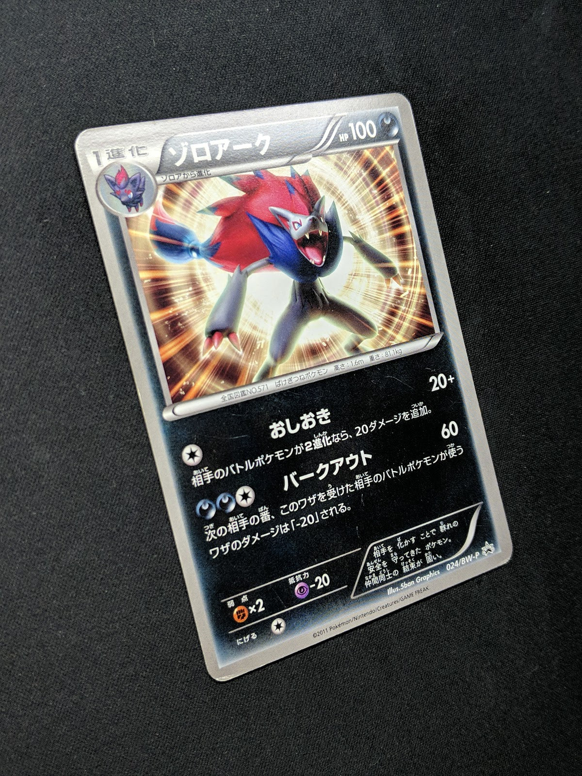 Zoroark 024/BW-P Promo Pokemon Japanese 2011 World Hobby Fair Exclusive MP