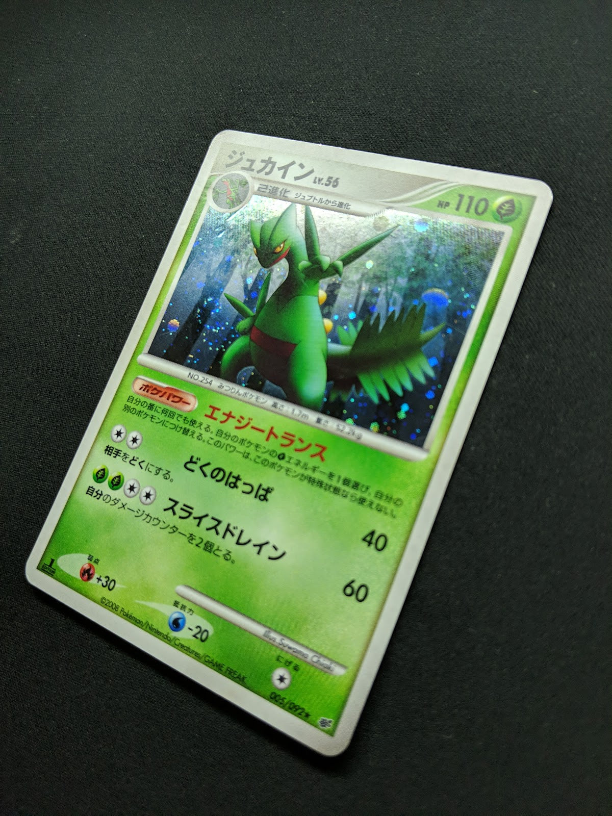 Sceptile Stormfront 005/092 Pokemon 1st Edition Japanese Rare Holo 2008 DP MP