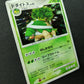 Torterra DP1 Diamond & Pearl Pokemon DPBP#450 Japanese Unlimited Rare Holo HP/MP