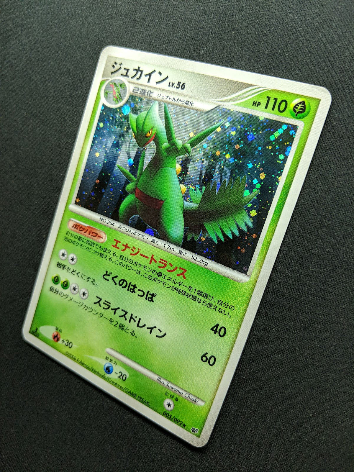 Sceptile Stormfront 005/092 Pokemon 1st Edition Japanese Rare Holo 2008 DP MP/LP