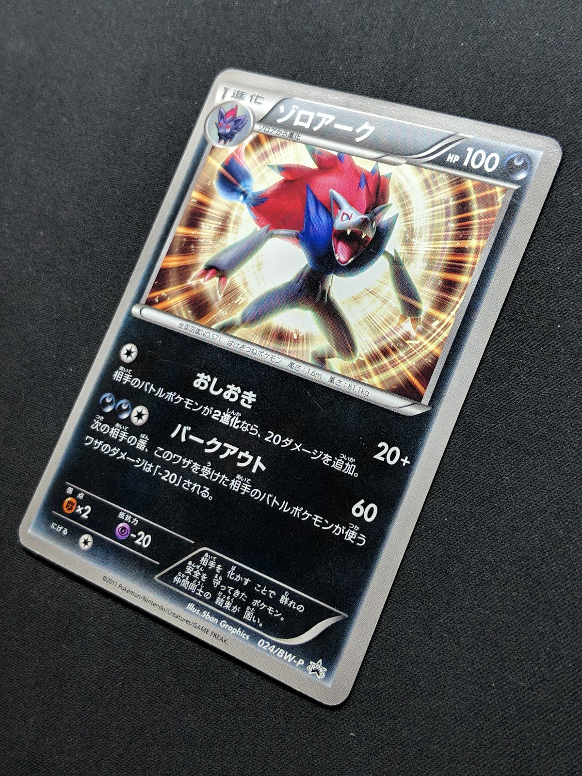 Zoroark 024/BW-P Promo Pokemon Japanese 2011 World Hobby Fair Exclusive MP/LP