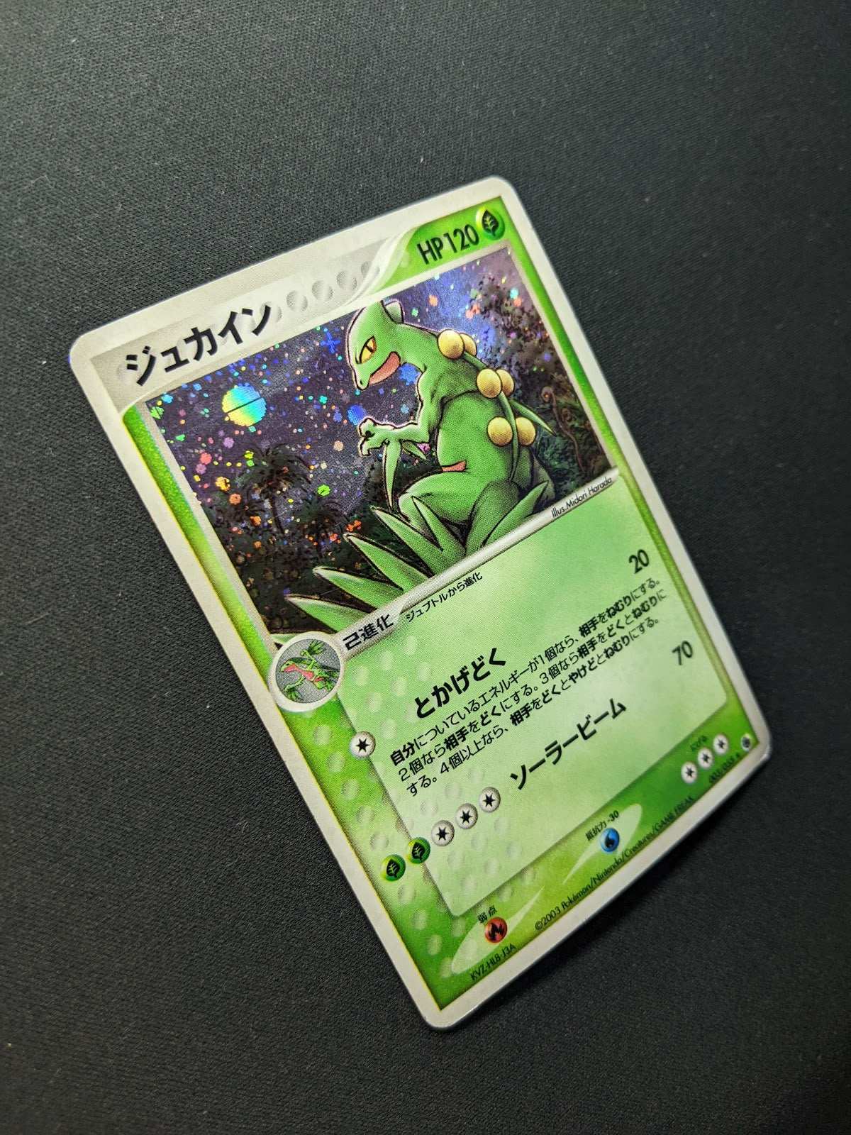 Sceptile ex Ruby & Sapphire 003/055 Pokemon Japanese Unlimited Rare Holo MP/LP