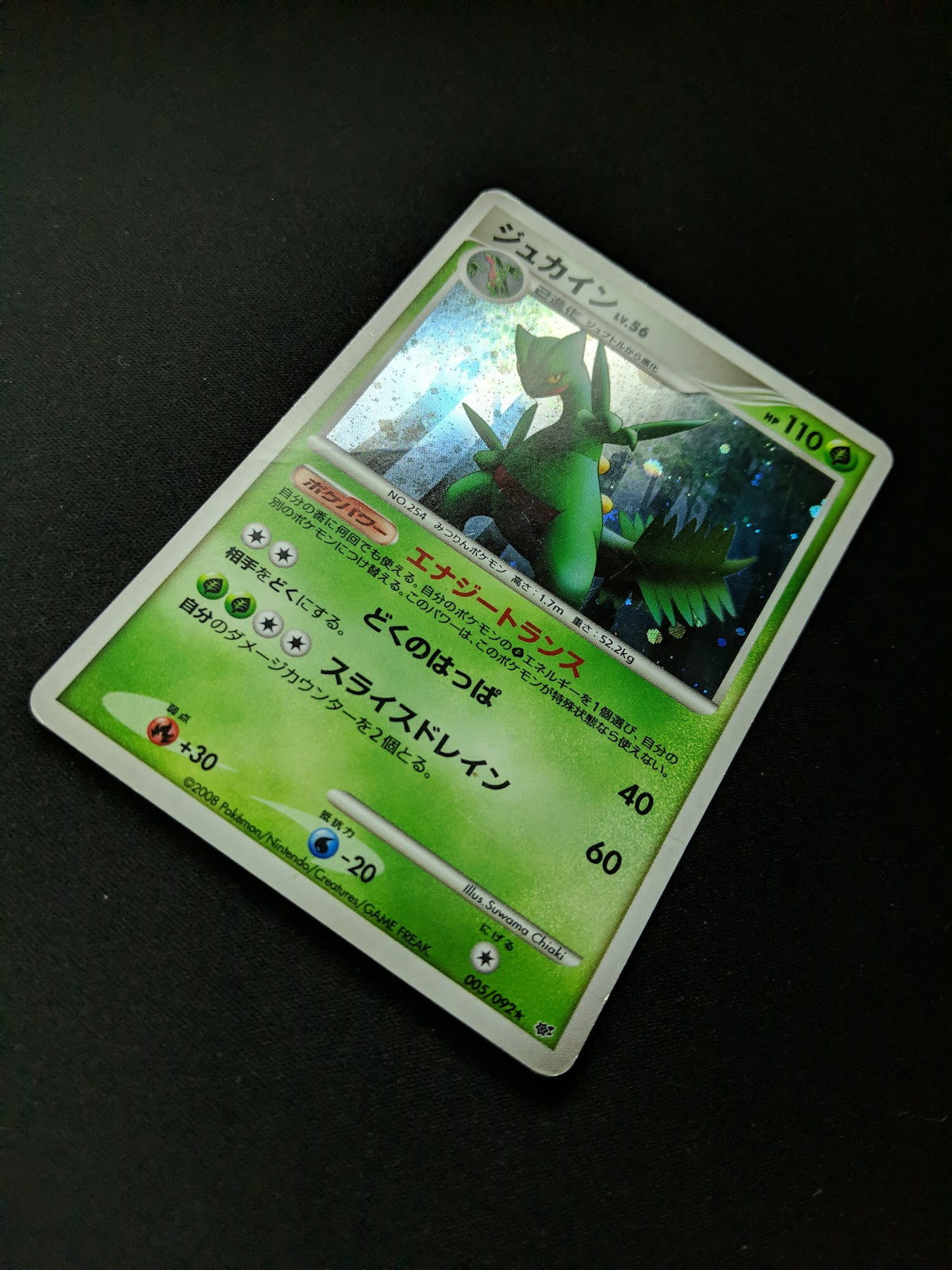 Sceptile Stormfront 005/092 Pokemon Japanese Unlimited Rare Holo 2008 DP HP