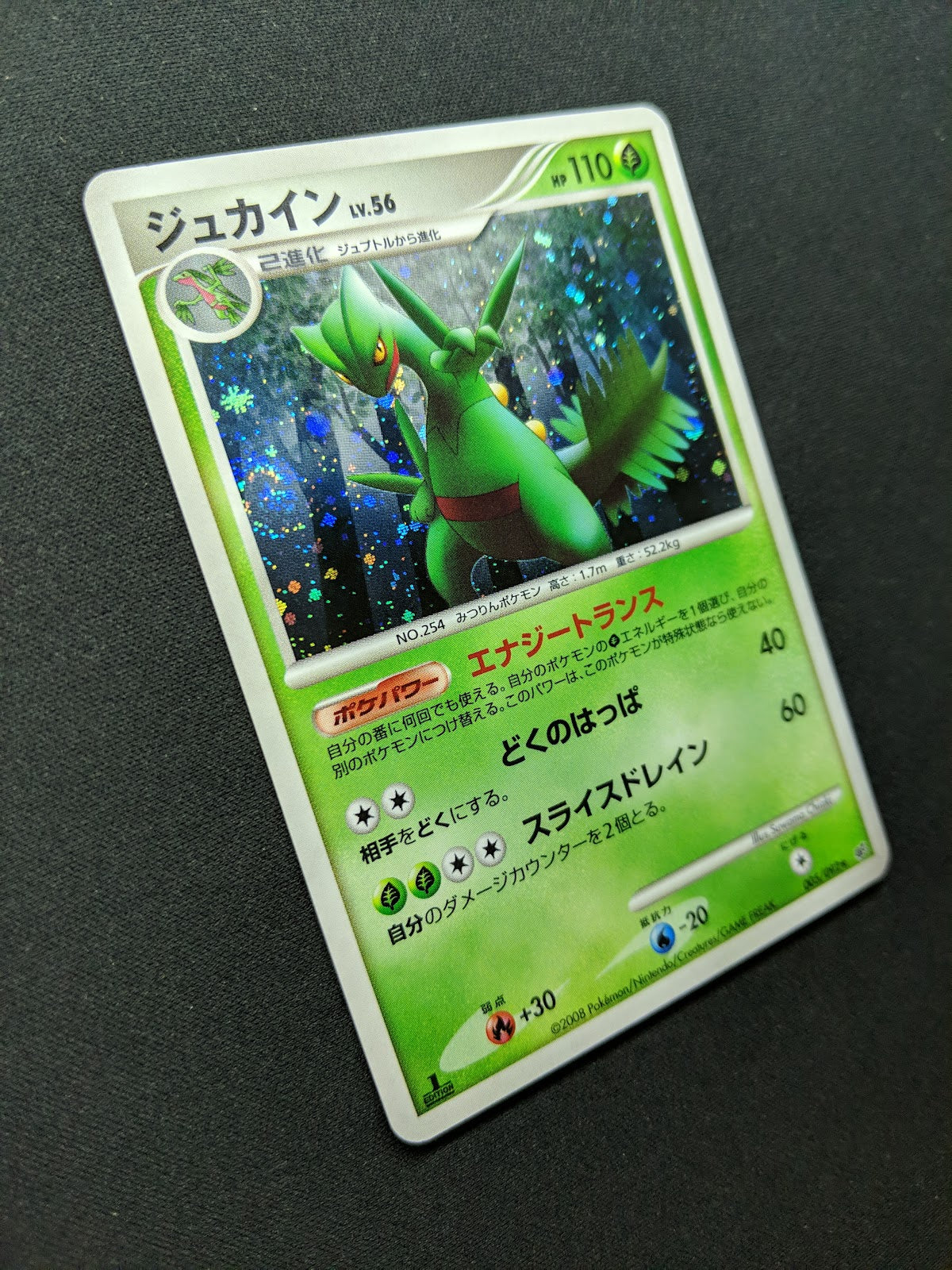 Sceptile Stormfront 005/092 Pokemon 1st Edition Japanese Rare Holo 2008 DP NM