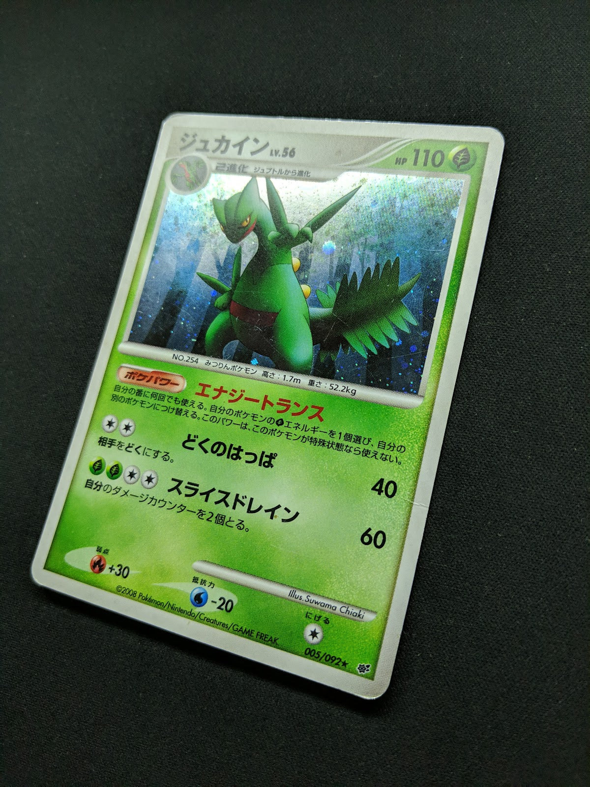 Sceptile Stormfront 005/092 Pokemon Japanese Unlimited Rare Holo 2008 DP HP