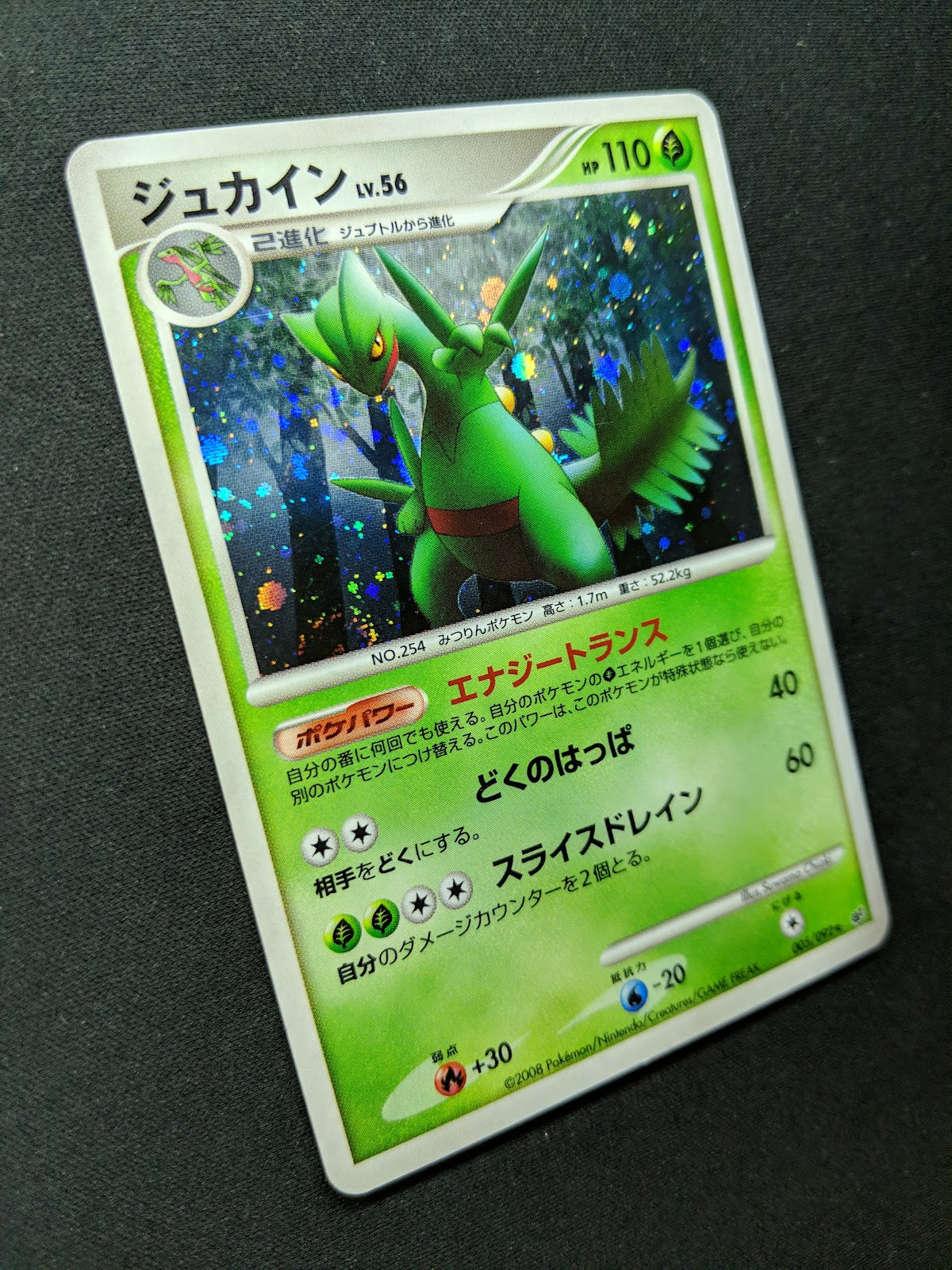 Sceptile Stormfront 005/092 Pokemon Japanese Unlimited Rare Holo 2008 DP MP/LP