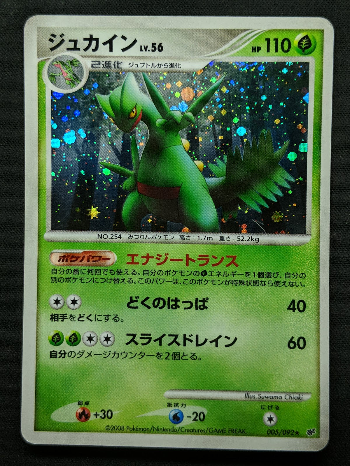 Sceptile Stormfront 005/092 Pokemon Japanese Unlimited Rare Holo 2008 DP MP