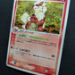 Arcanine ex Sandstorm 014/080 Pokemon Japanese Unlimited Rare Holo 2003 MP
