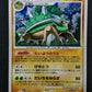 Torterra Stormfront 059/092 Pokemon Japanese Unlimited Rare Holo 2008 DP LP/NM