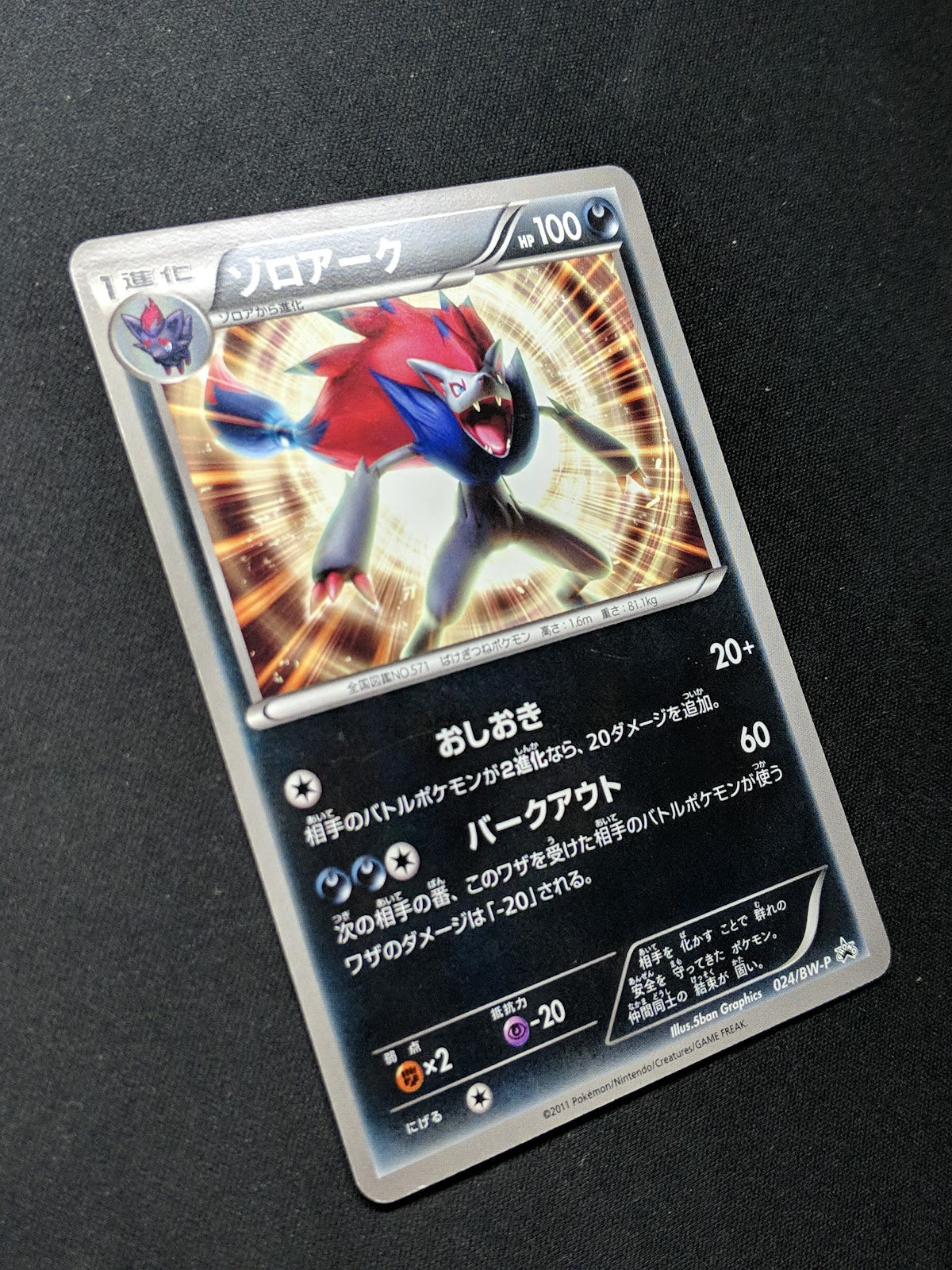 Zoroark 024/BW-P Promo Pokemon Japanese 2011 World Hobby Fair Exclusive MP/LP