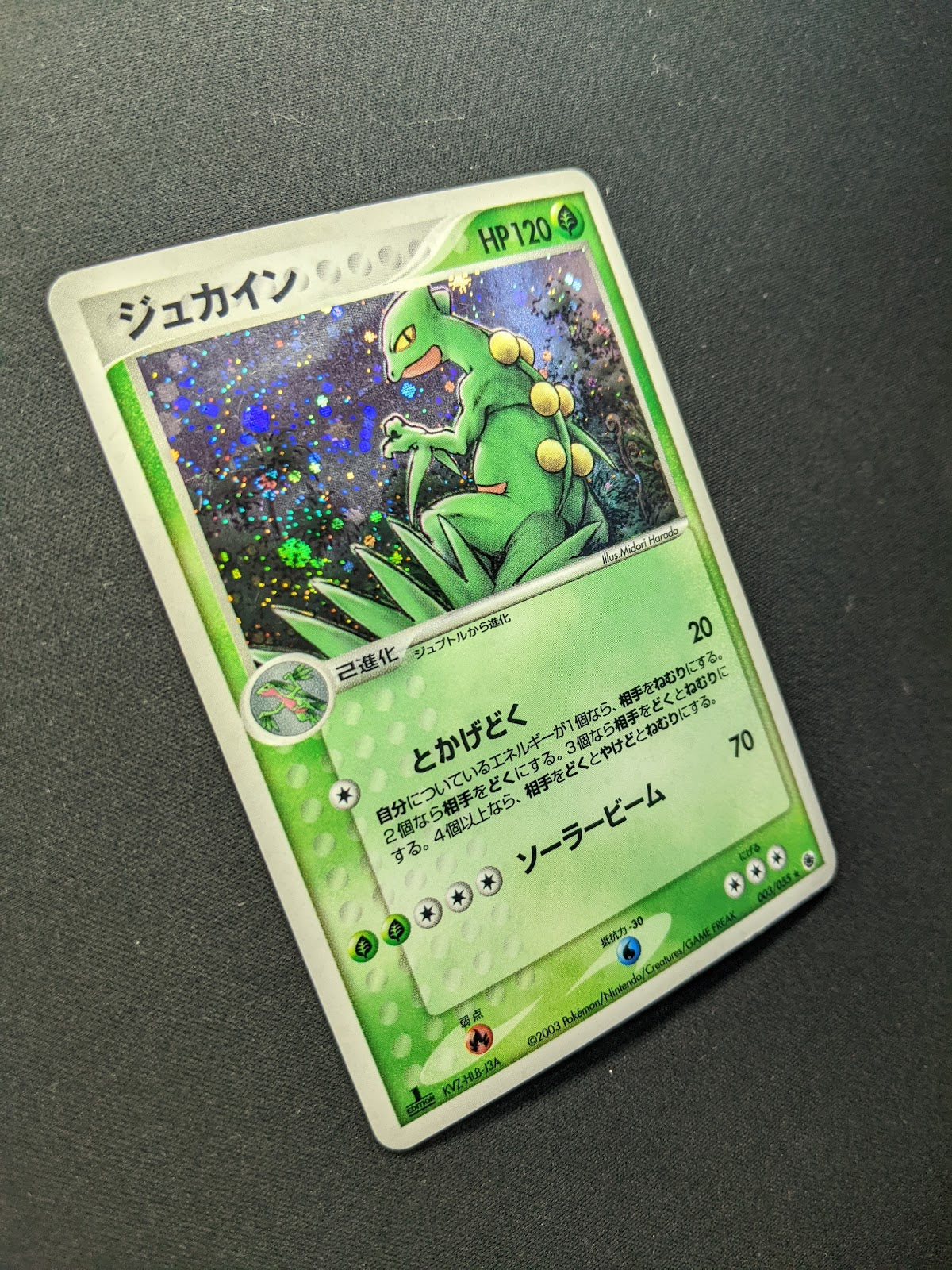 Sceptile ex Ruby & Sapphire 003/055 Pokemon 1st Edition Japanese Rare Holo LP