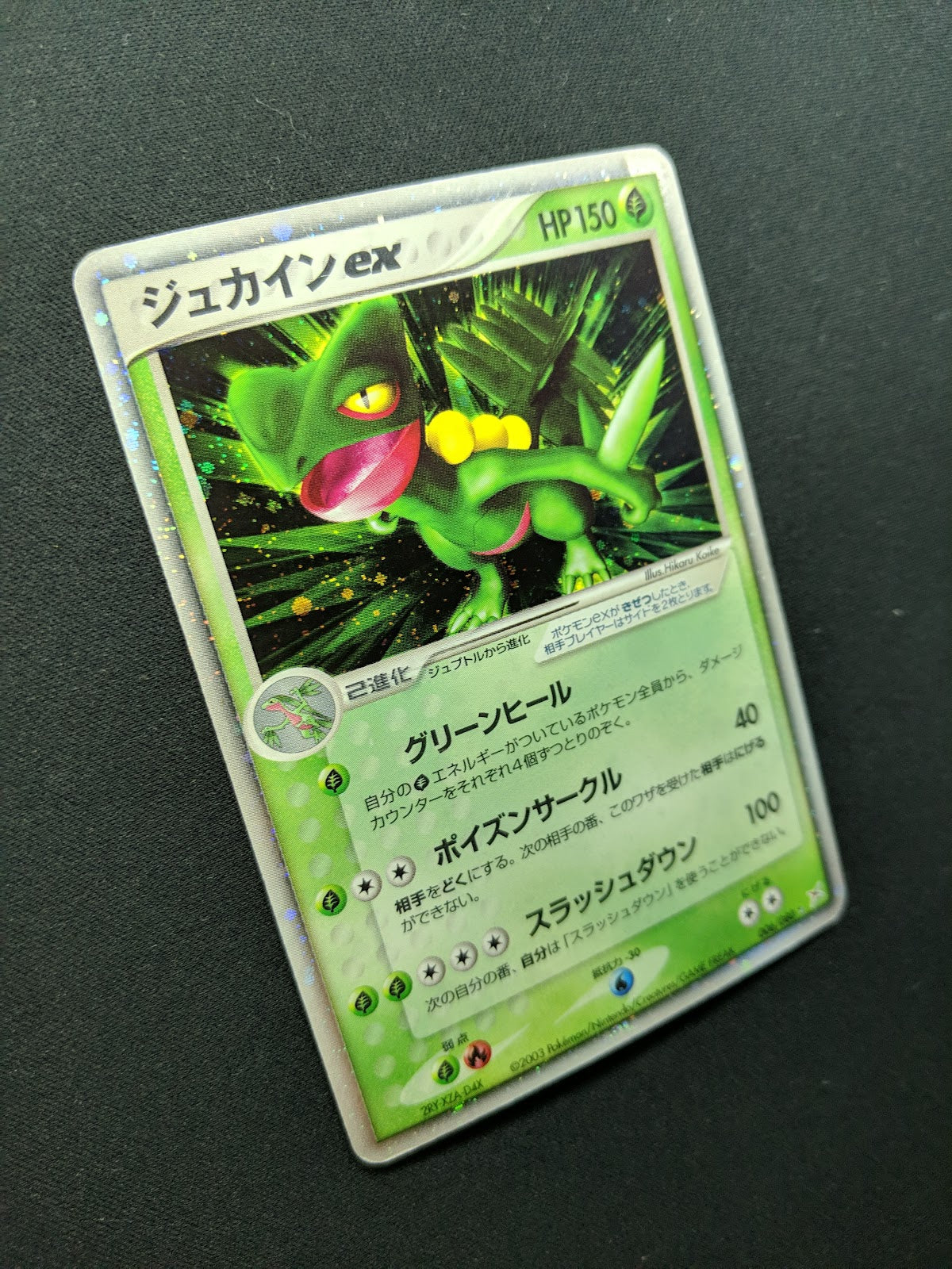 Sceptile ex Team Magma vs Aqua 006/080 Pokemon Japanese Unlimited Holo ADV MP