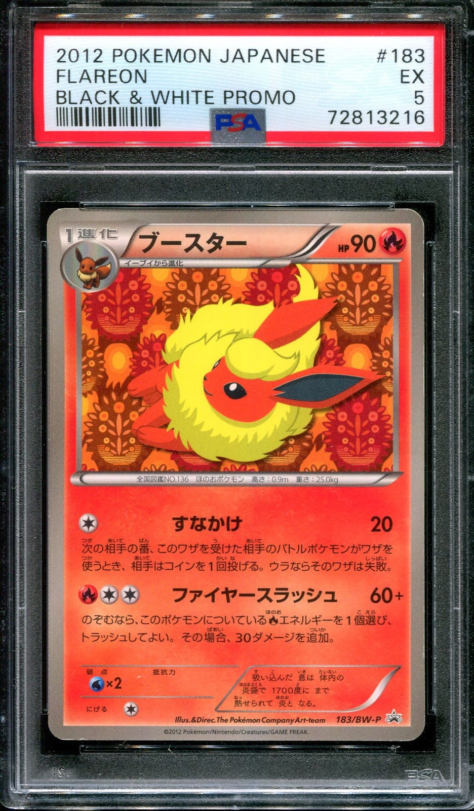 Flareon 183/BW-P Promo Pokemon Japanese Eevee File 2012 Black & White PSA 5