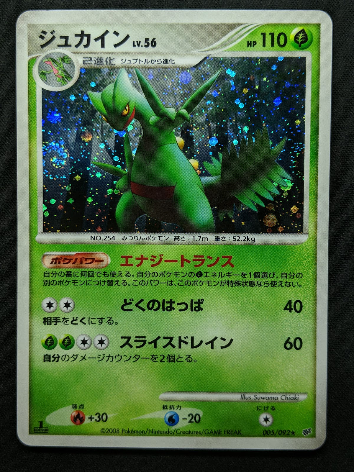 Sceptile Stormfront 005/092 Pokemon 1st Edition Japanese Rare Holo 2008 DP NM