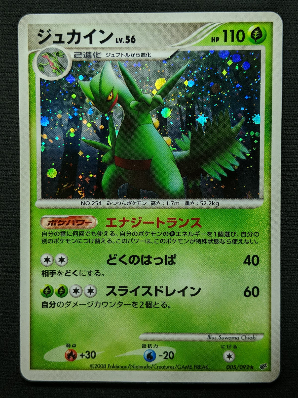 Sceptile Stormfront 005/092 Pokemon Japanese Unlimited Rare Holo 2008 DP MP/LP