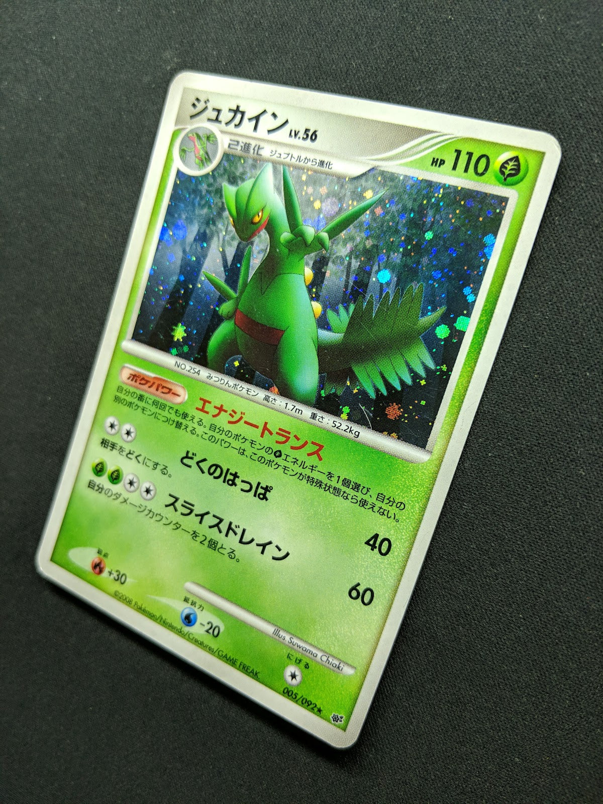 Sceptile Stormfront 005/092 Pokemon Japanese Unlimited Rare Holo 2008 DP MP