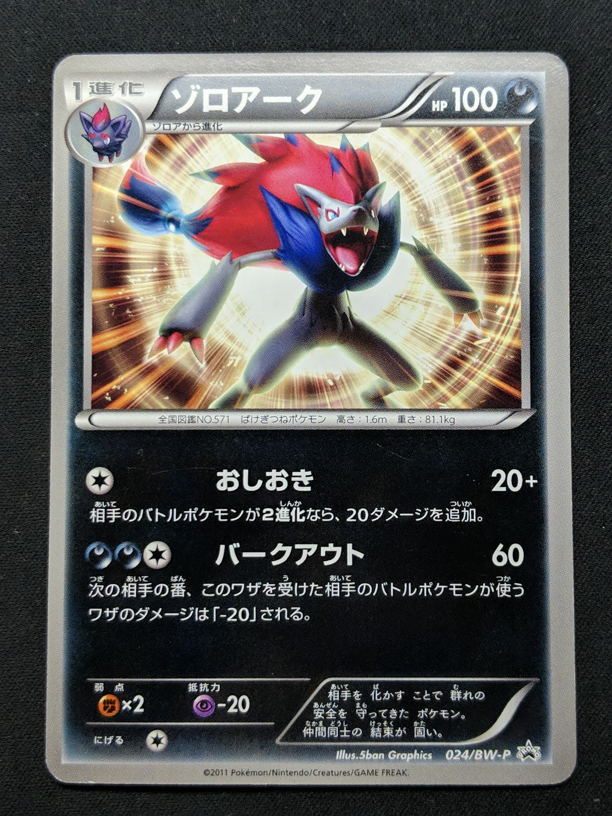 Zoroark 024/BW-P Promo Pokemon Japanese 2011 World Hobby Fair Exclusive MP/LP