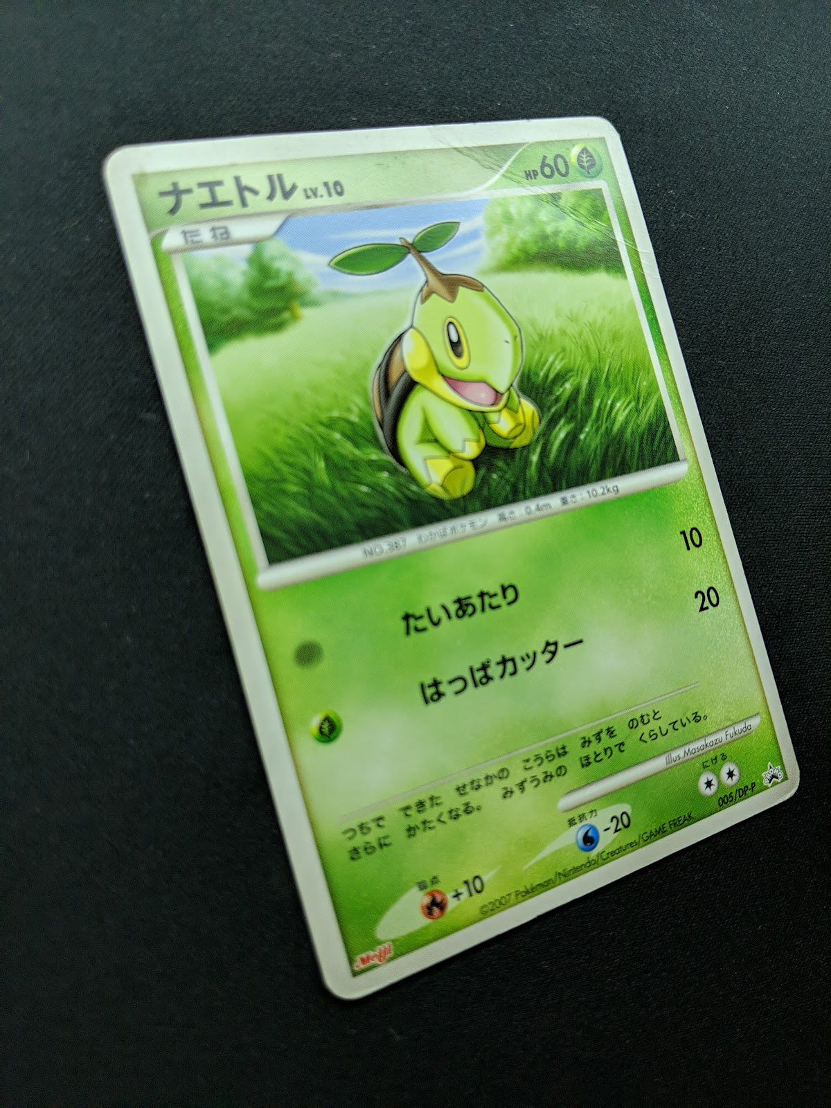 Turtwig 005/DP-P Promo Pokemon Japanese 2007 Meiji Chocolate Stamp DM