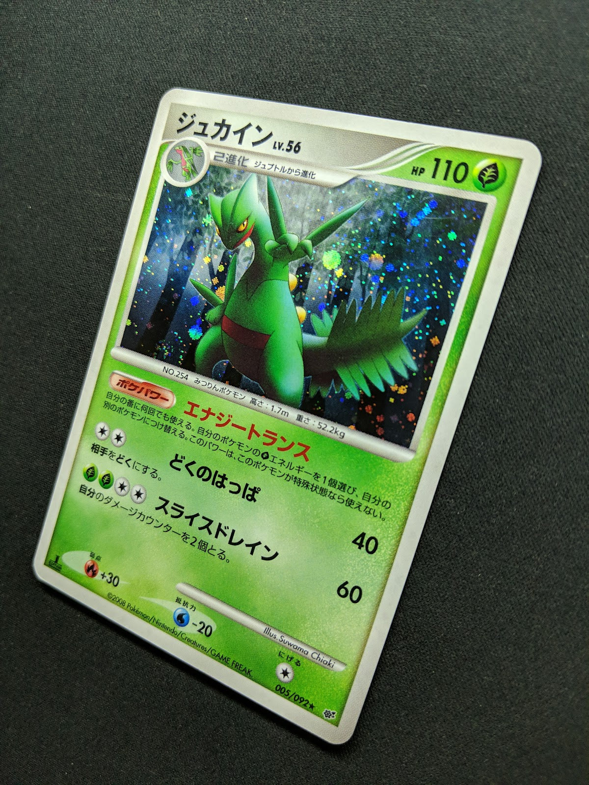 Sceptile Stormfront 005/092 Pokemon 1st Edition Japanese Rare Holo 2008 DP LP