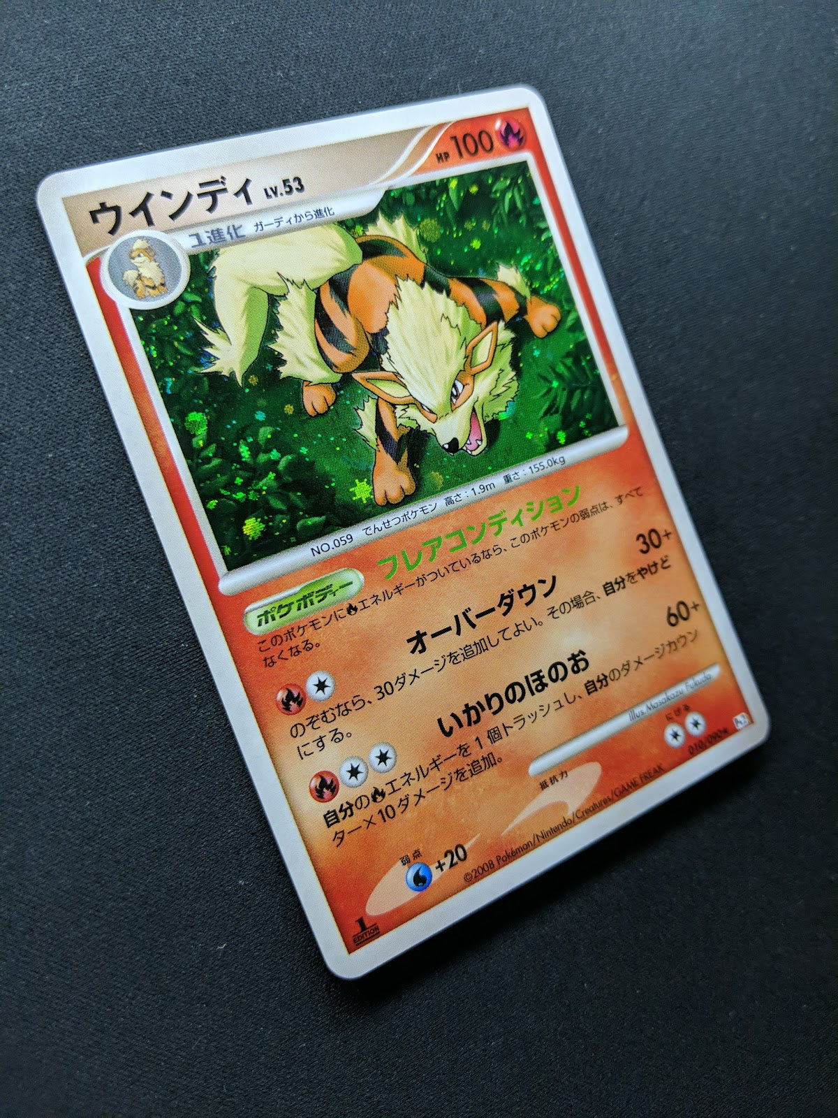 Arcanine Pt2 Rising Rivals 010/090 Pokemon 1st Edition Japanese Rare Holo LP