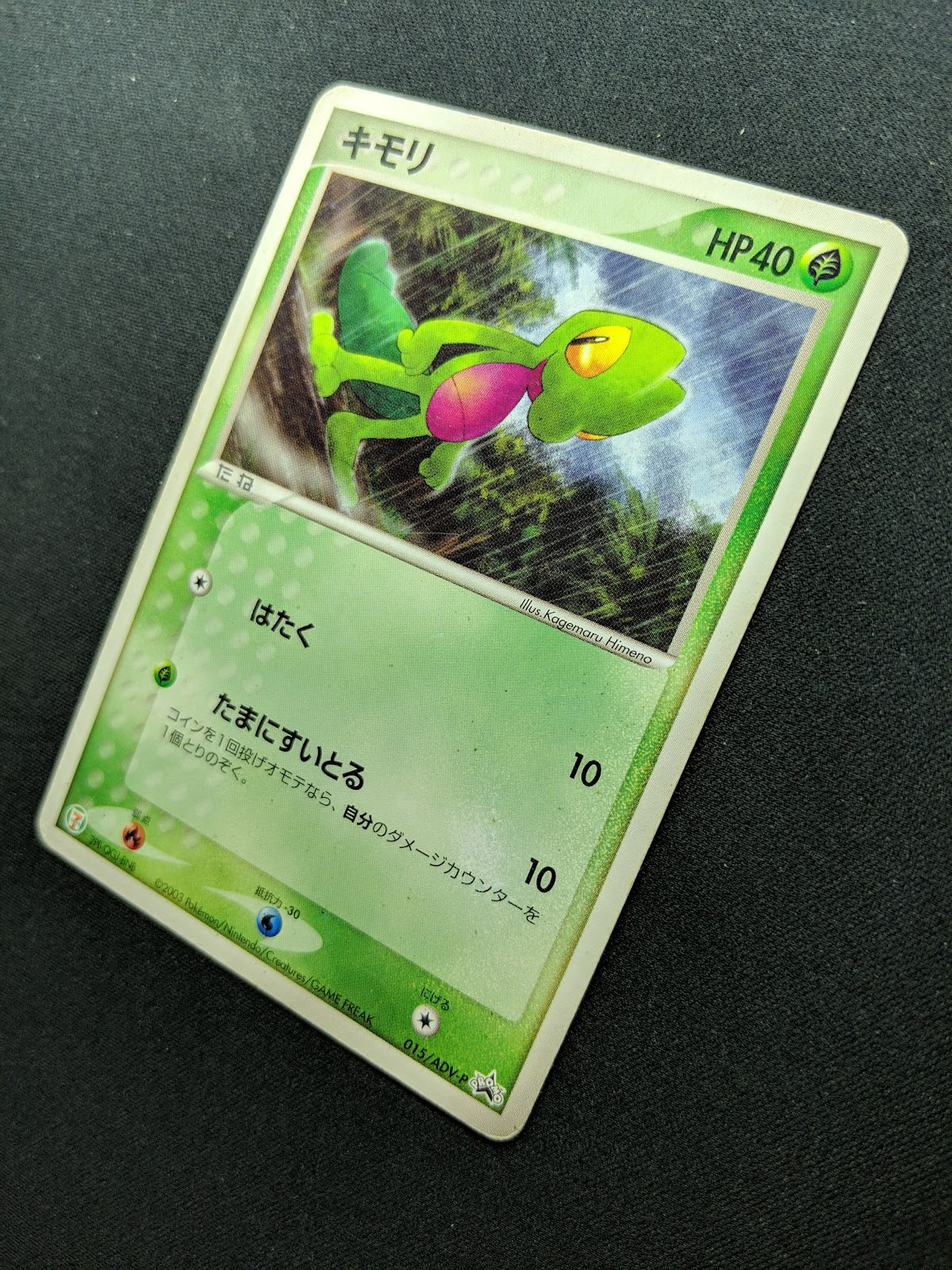 Treecko 015/ADV-P Promo Pokemon Japanese 2003 7-Eleven Fair Stamp Non Holo HP/MP