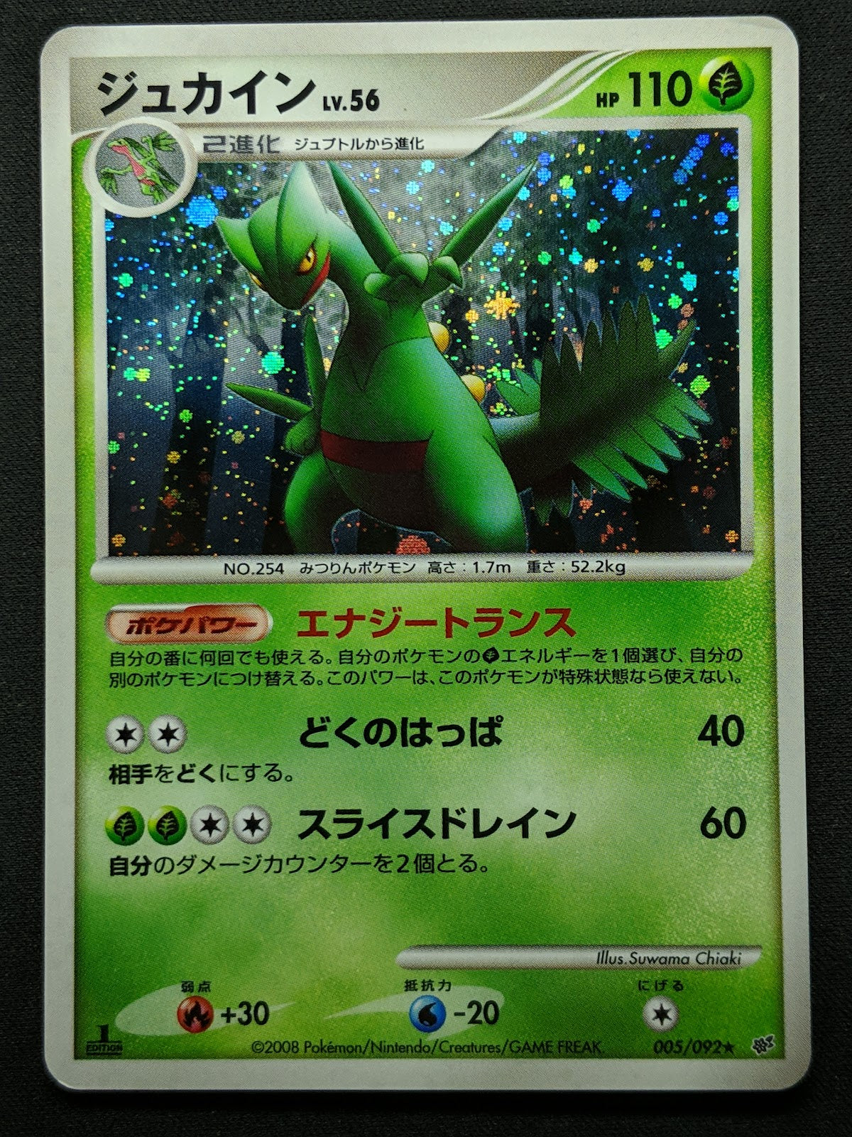 Sceptile Stormfront 005/092 Pokemon 1st Edition Japanese Rare Holo 2008 DP MP/LP