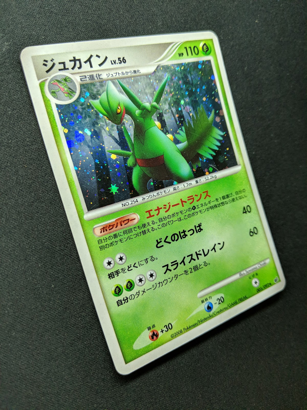 Sceptile Stormfront 005/092 Pokemon Japanese Unlimited Rare Holo 2008 DP MP