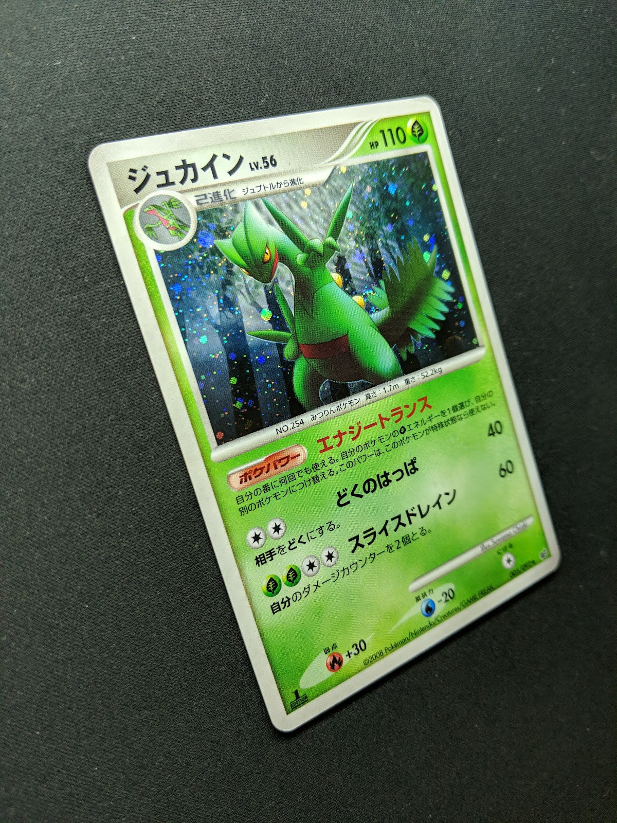 Sceptile Stormfront 005/092 Pokemon 1st Edition Japanese Rare Holo 2008 DP MP/LP